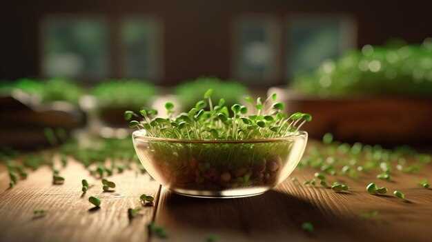 Травяные рецепты для похудения с использованием мочегонных трав