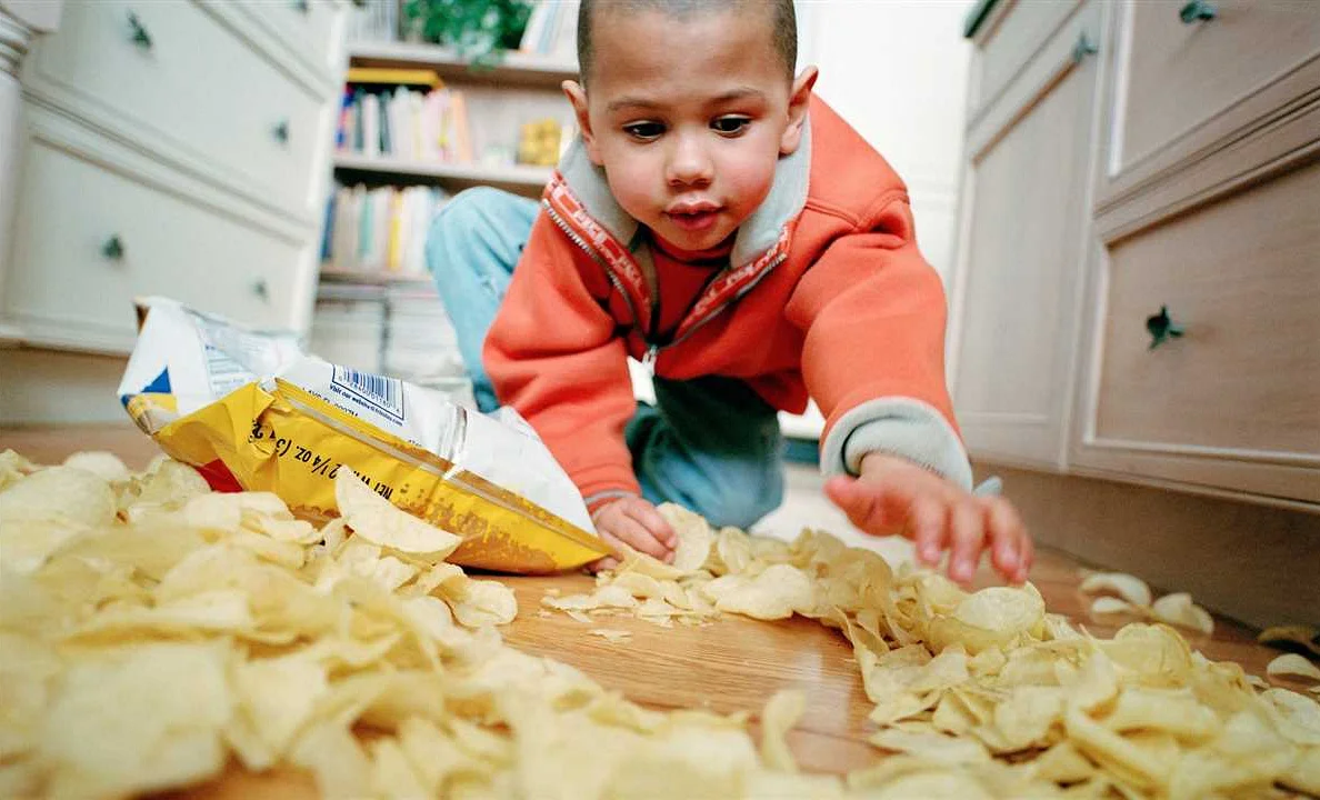 Methodology for the 5 second rule experiment