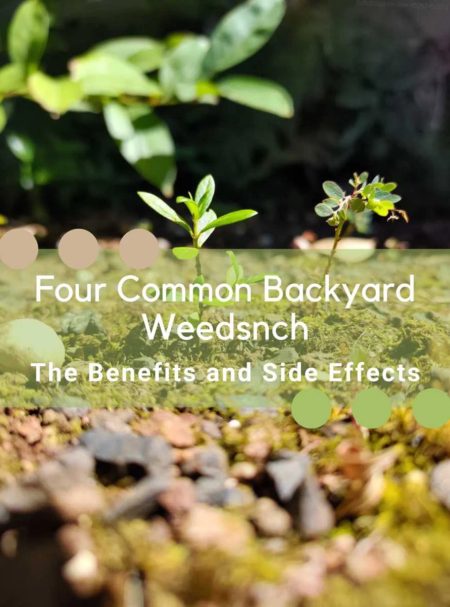 The Untapped Potential of Common Backyard Weeds