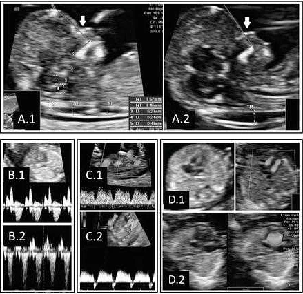 Advanced diagnostic techniques