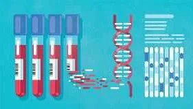 Genetic Testing Methods for DMD and BMD