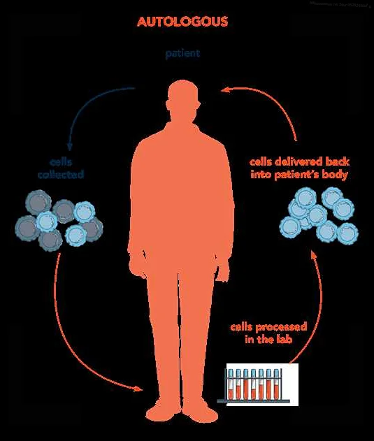 Understanding Genetic Diseases