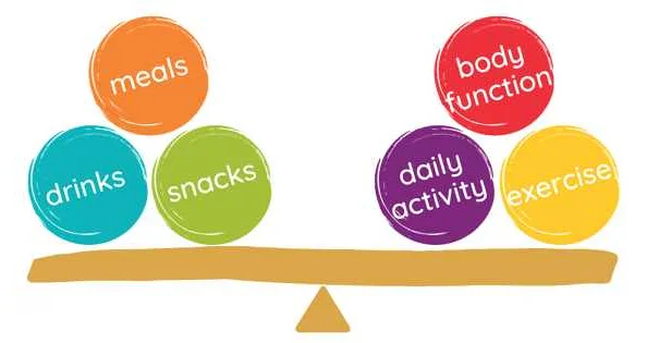 Recommended Calorie Intake for Different Individuals