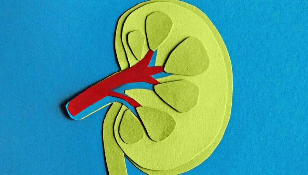 Treatment Options for Renal Failure