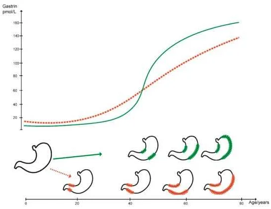 Understanding the Role of Refrigeration