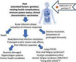 Link between Hiccups and COVID-19