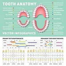 How to Choose a Pediatric Dentist