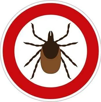 Tick bite prevention tips from St. Petersburg doctors