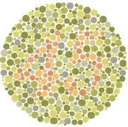 Understanding Color Blindness: Causes and Types