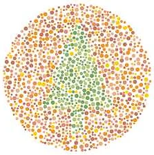 How Color Blindness Affects Everyday Life