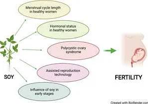 Findings of the Study