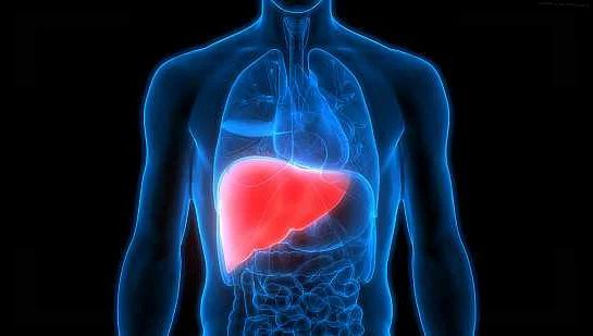 The Surprising Liver-Toxic Chemicals in Our Homes