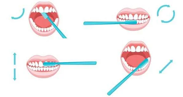 Why Brushing Your Teeth is Important