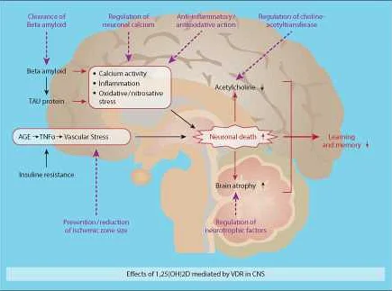 The Importance of Microelements for Brain Function and Nervous System